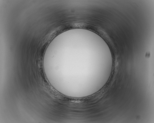 X0000115540161200911061158