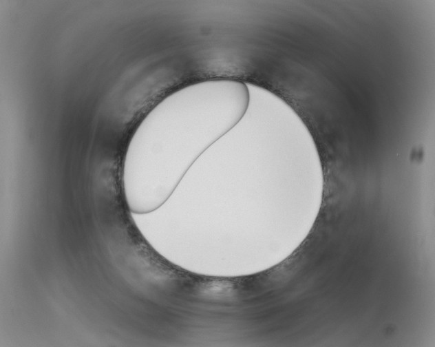 X0000115540162200911061158