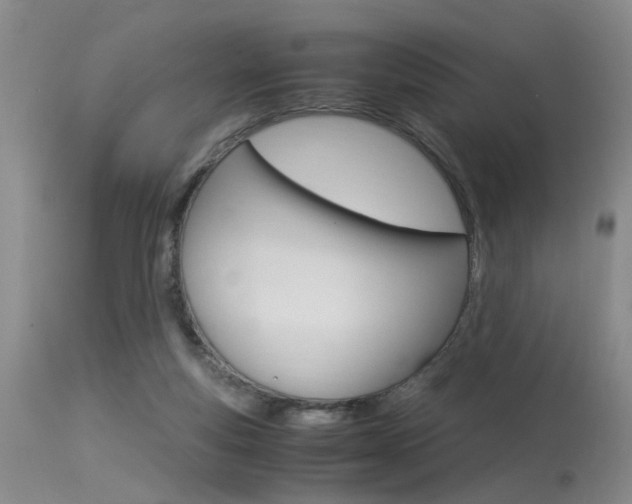 X0000115540163200911061158