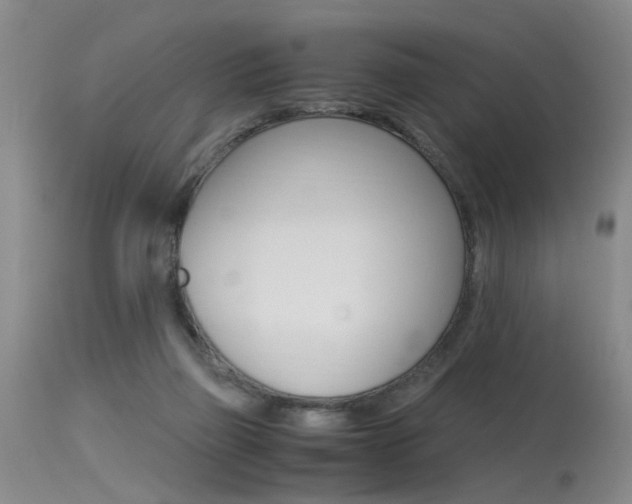 X0000115540165200911061158