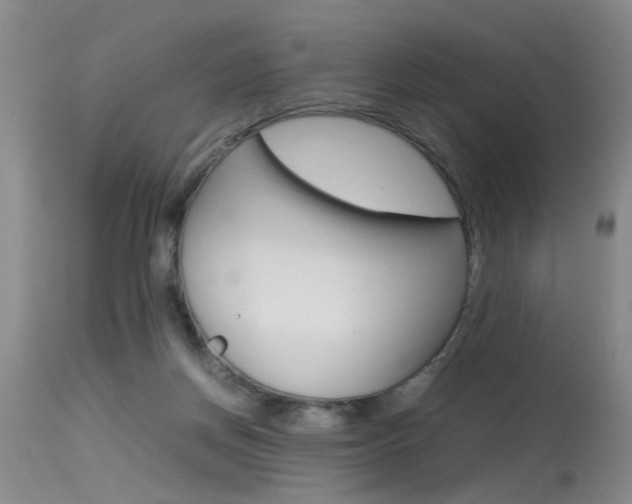 X0000115540166200911061158