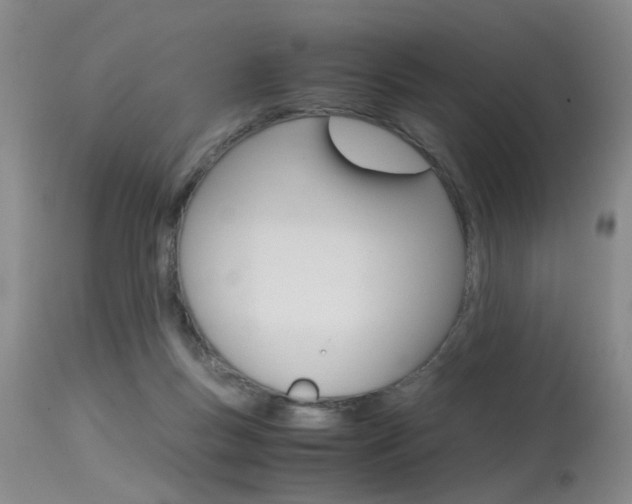 X0000115540167200911061158