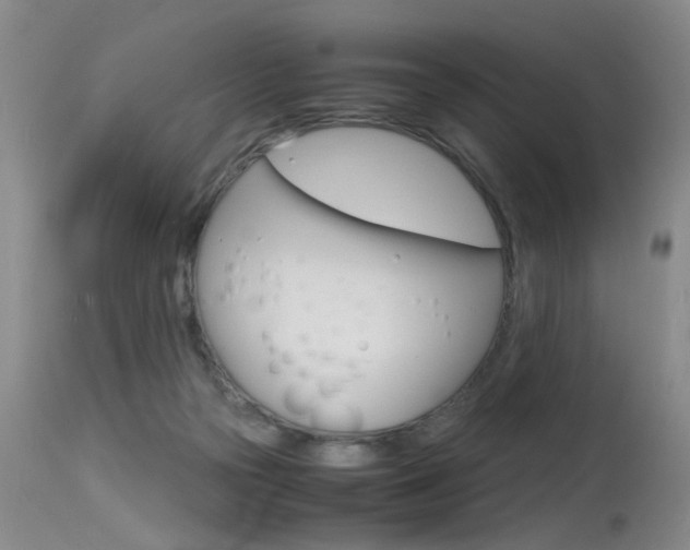 X0000115540169200911061158