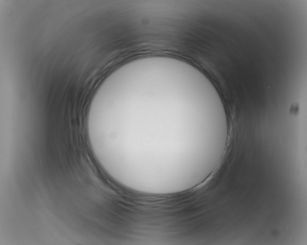 X0000115540170200911061158