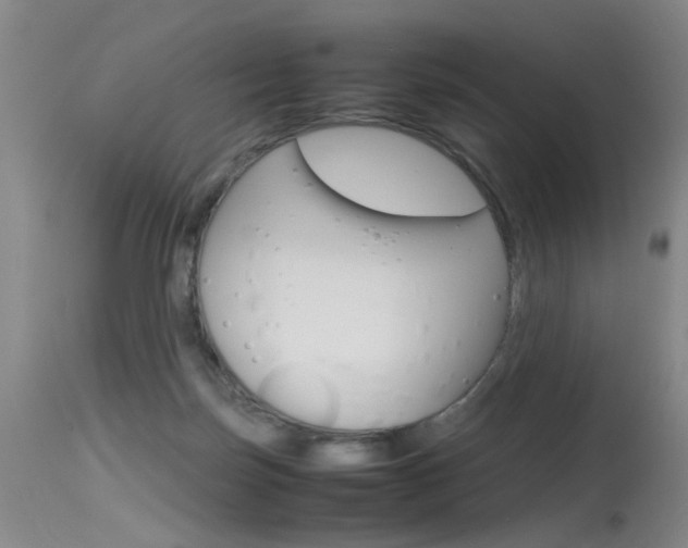 X0000115540171200911061158