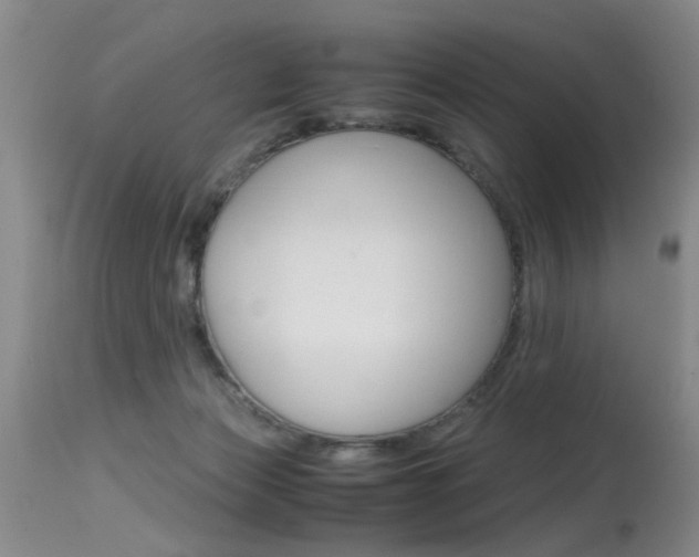 X0000115540173200911061158