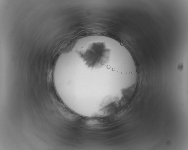 X0000115540177200911061158