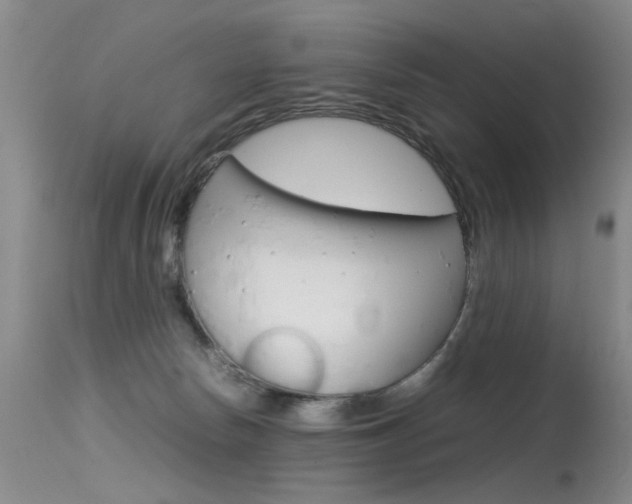 X0000115540178200911061158