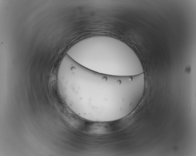 X0000115540179200911061158