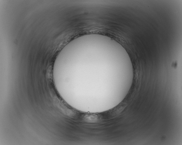 X0000115540181200911061158