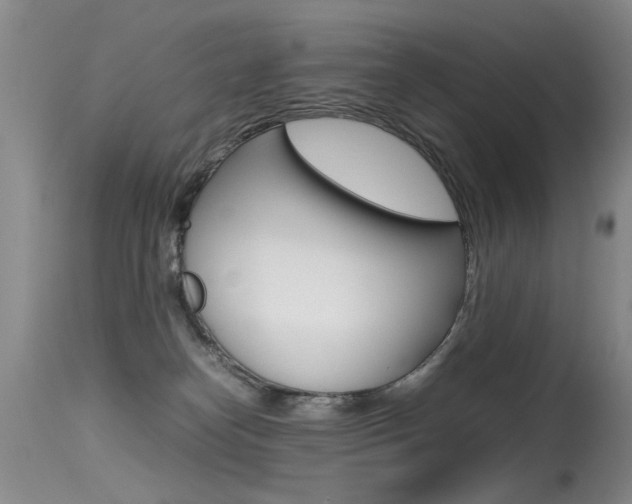 X0000115540182200911061158