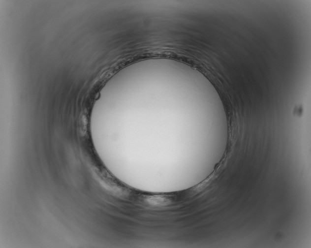 X0000115540183200911061158