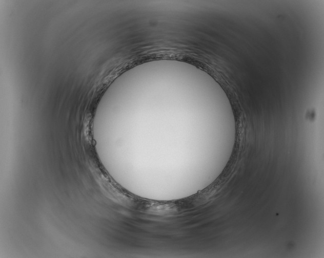 X0000115540185200911061158