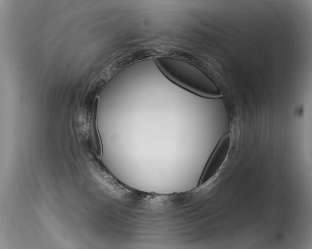 X0000115540186200911061158