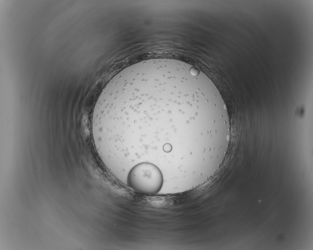 X0000115540187200911061158