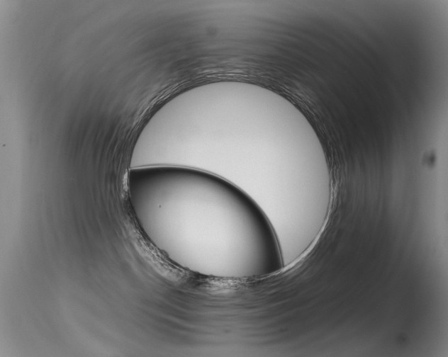 X0000115540190200911061158