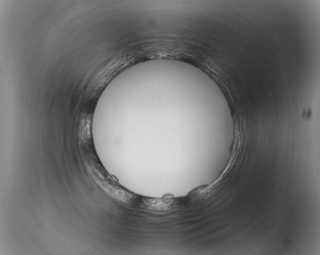 X0000115540191200911061158