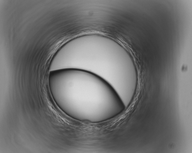 X0000115540193200911061158