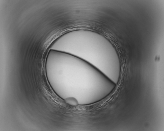 X0000115540194200911061158