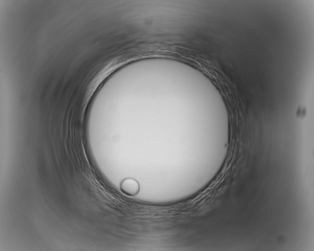 X0000115540195200911061158