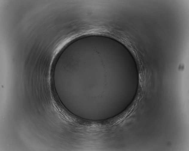 X0000115540196200911061158