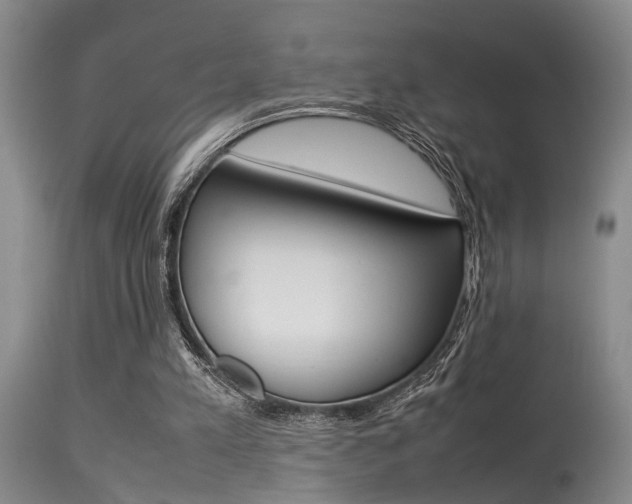 X0000115540197200911061158