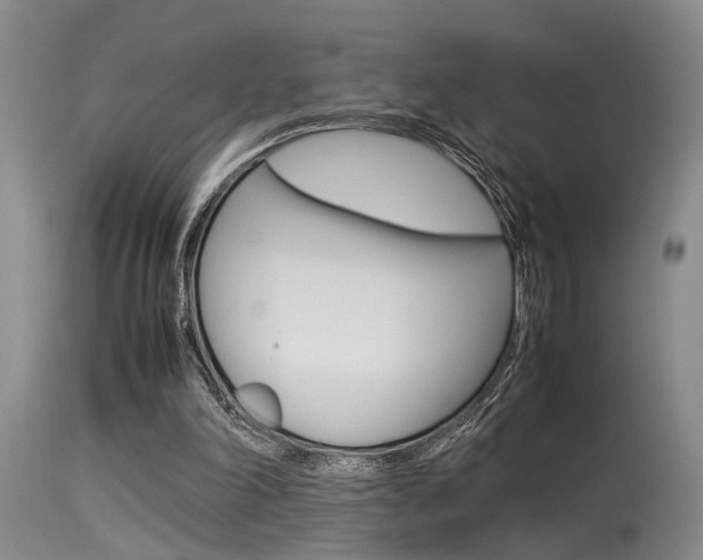 X0000115540198200911061158