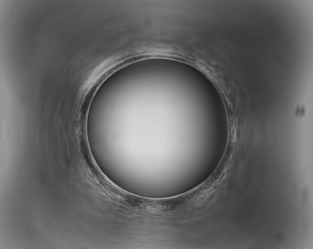 X0000115540199200911061158