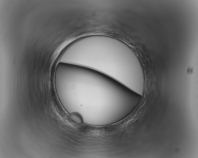 X0000115540200200911061158