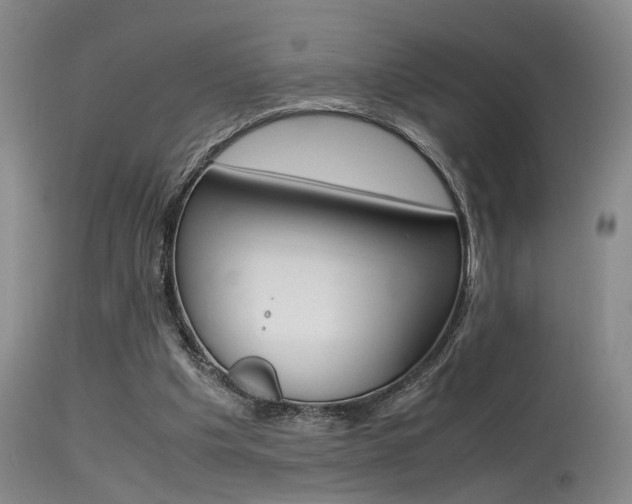 X0000115540201200911061158