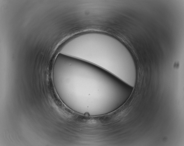 X0000115540204200911061158