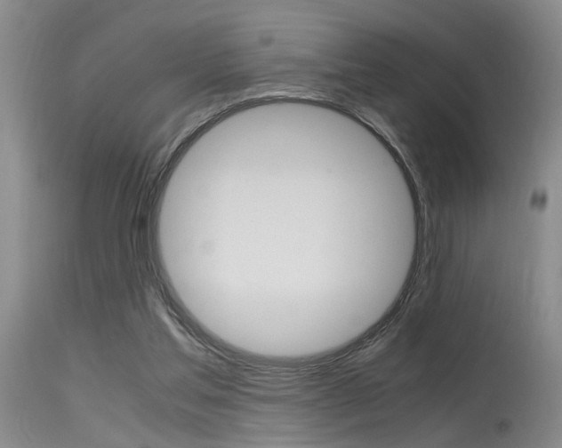 X0000115540205200911061158