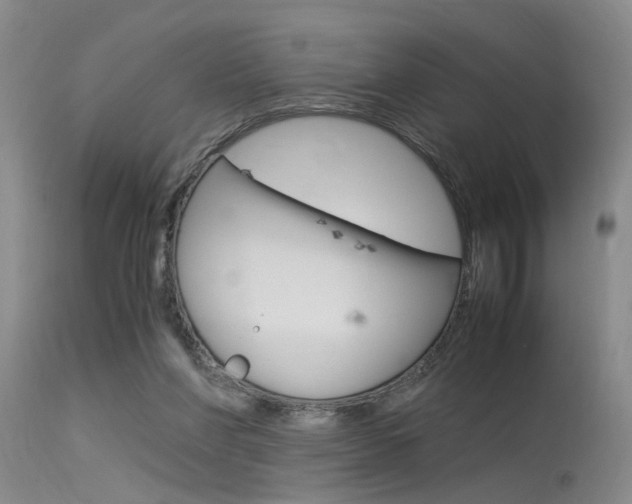 X0000115540206200911061158