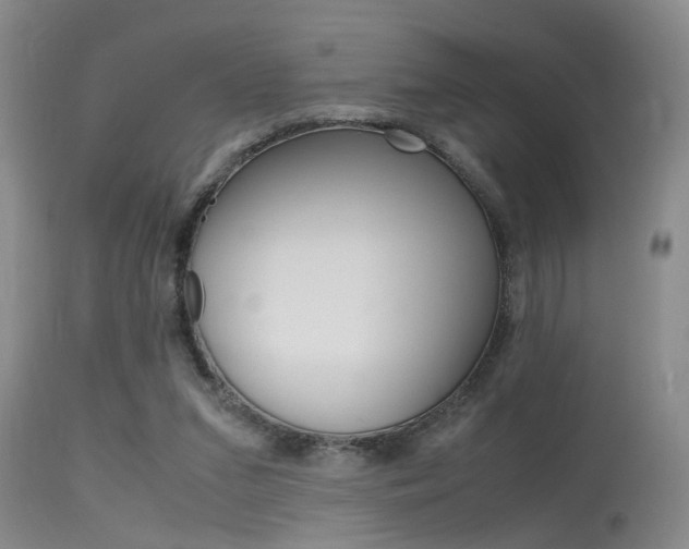 X0000115540207200911061158