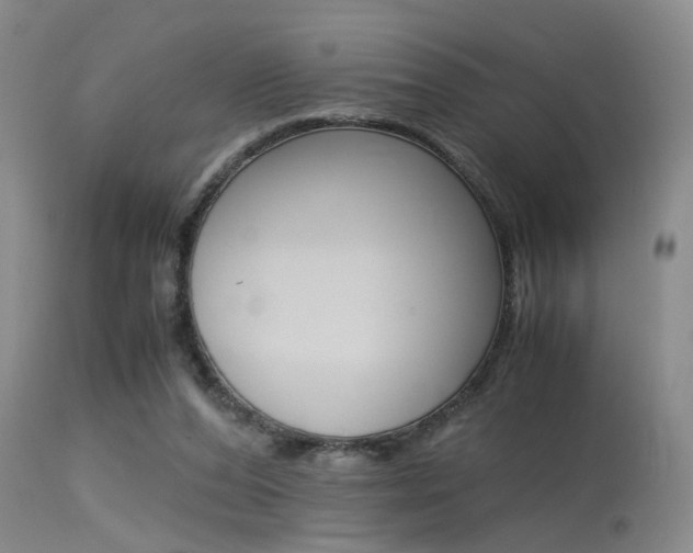 X0000115540208200911061157