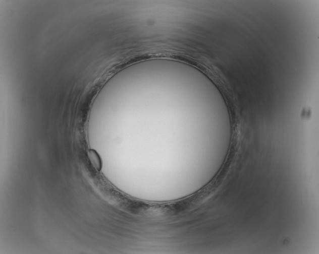 X0000115540209200911061157