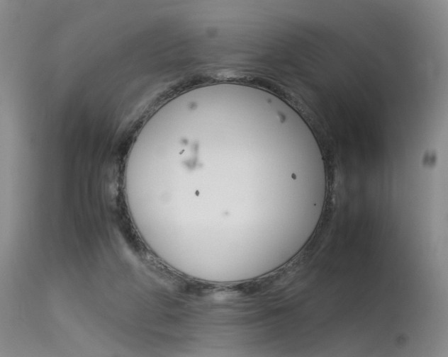 X0000115540210200911061157