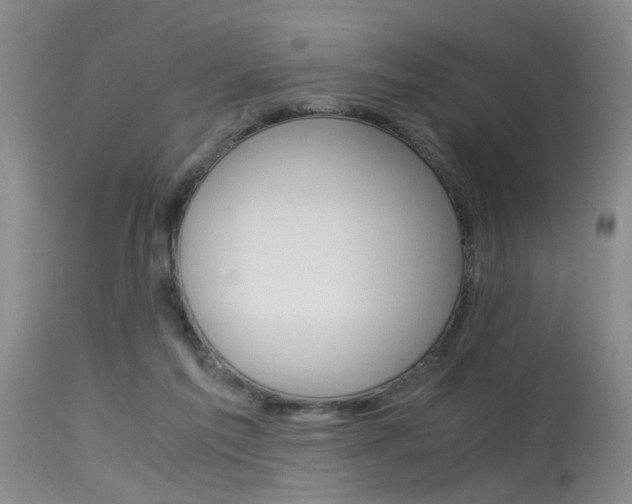 X0000115540213200911061157