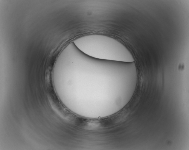 X0000115540214200911061157