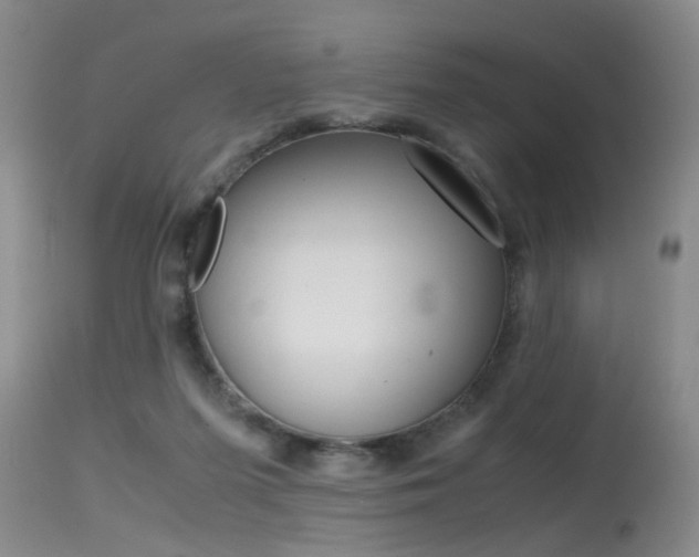 X0000115540215200911061157