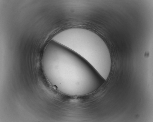 X0000115540216200911061157