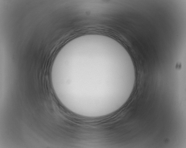 X0000115540217200911061157