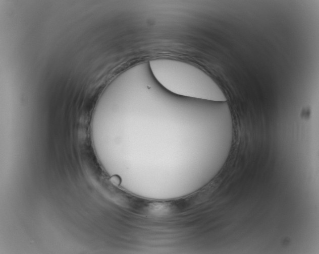 X0000115540218200911061157