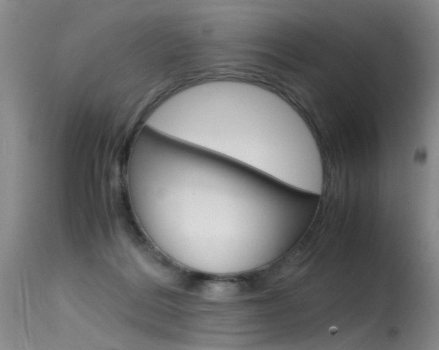 X0000115540220200911061157