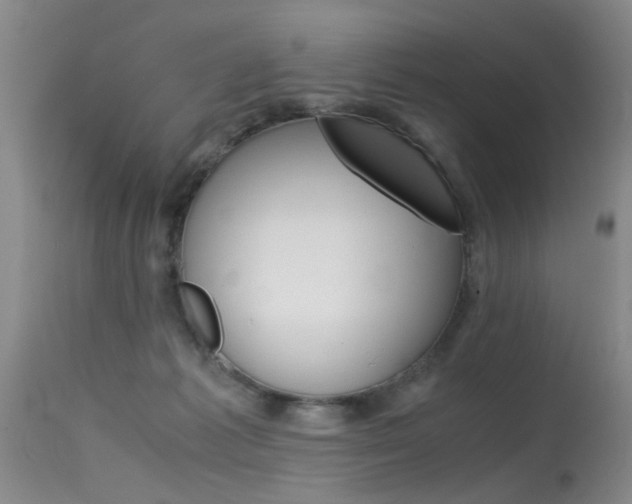 X0000115540221200911061157