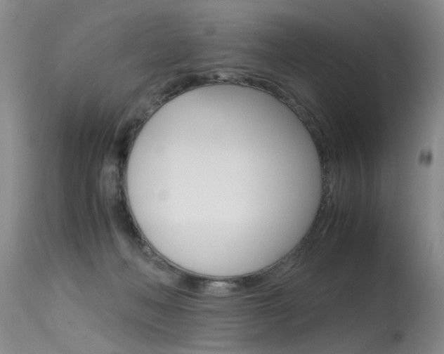 X0000115540222200911061157