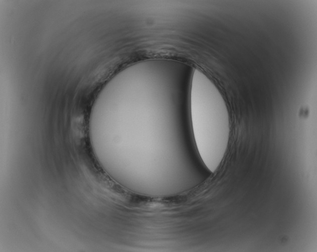 X0000115540224200911061157