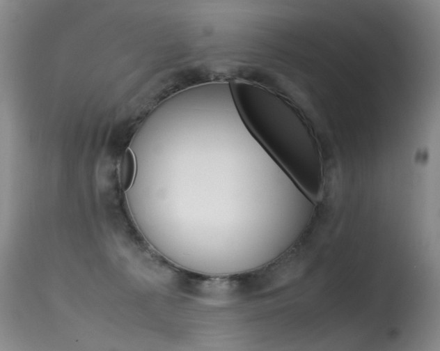 X0000115540225200911061157