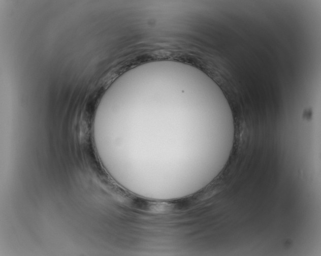 X0000115540226200911061157