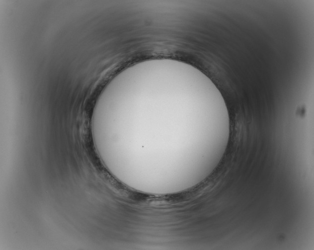 X0000115540228200911061157